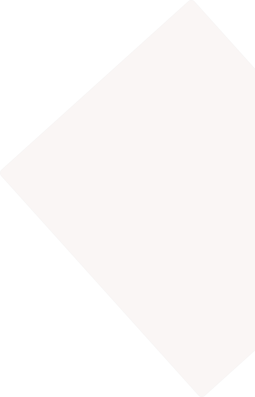 section bg style